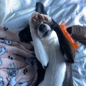 Meet your Posher, Susan